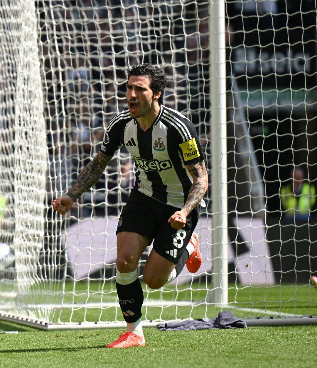 南安普顿主场战平纽卡斯尔联,努力求胜的简单介绍 南安普顿主场战平纽卡斯尔联,努力求胜的简单介绍