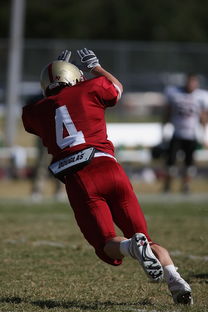 开云官网-蒙特雷赛前训练公开，备战世俱杯冲刺
