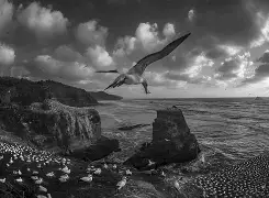 林丹亲述转会心路历程