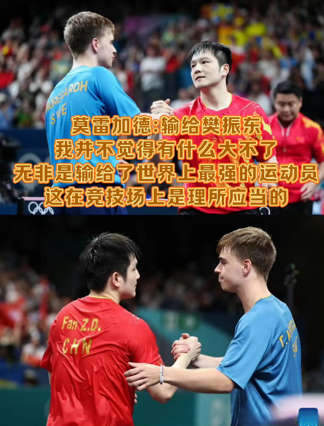 开云APP-韩国队翻盘日本队，樊振东刷新纪录的简单介绍